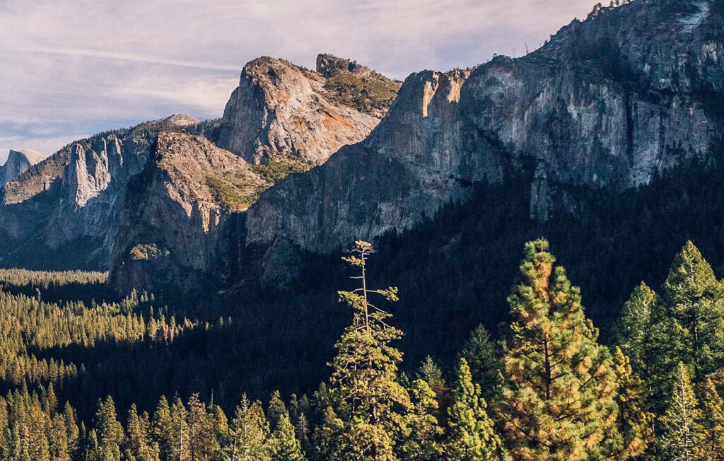 Góry rzucają cień na część lasu.